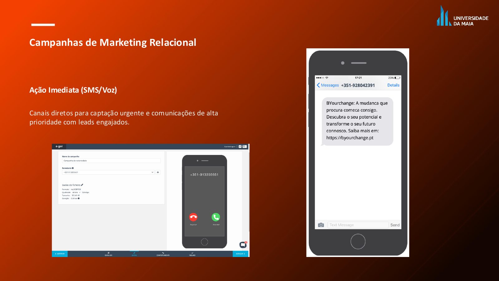 Página do relatório com a campanha de ação imediata por SMS e voz